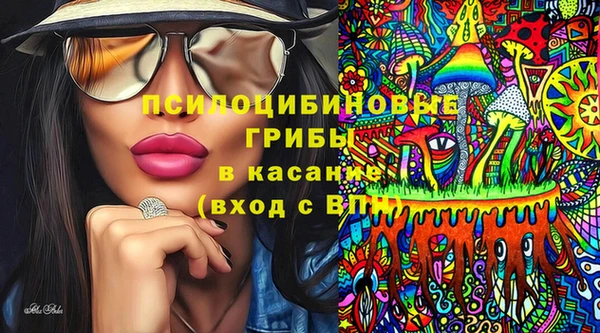 ECSTASY Заполярный