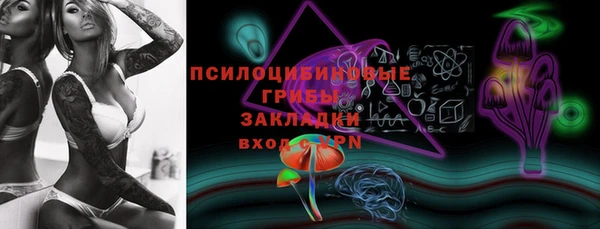ECSTASY Заполярный