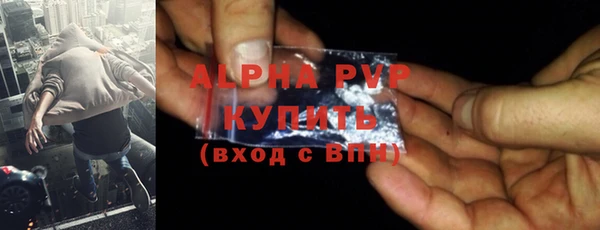 ECSTASY Заполярный