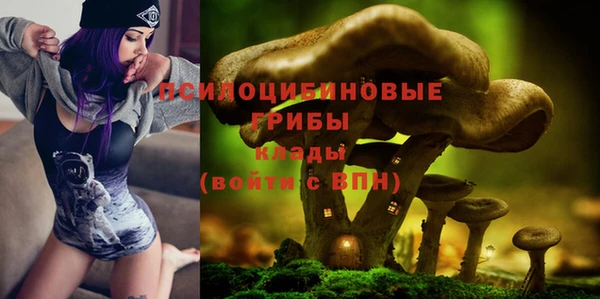 мет Зарайск
