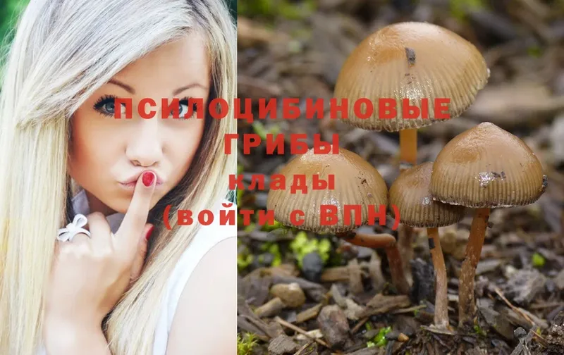 Галлюциногенные грибы Magic Shrooms  Коркино 