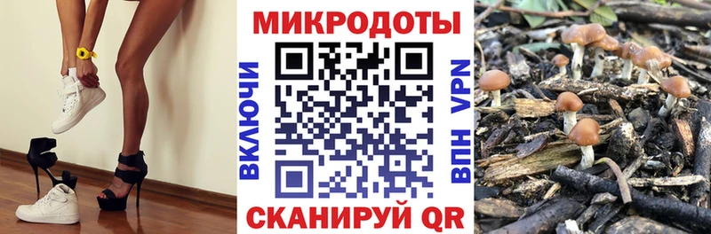 Галлюциногенные грибы мицелий  Коркино 