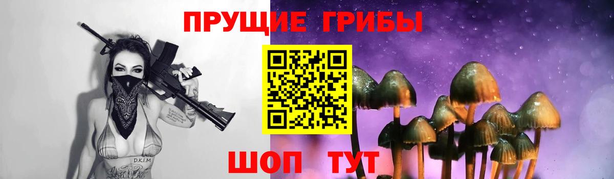 Галлюциногенные грибы Psilocybine cubensis Коркино
