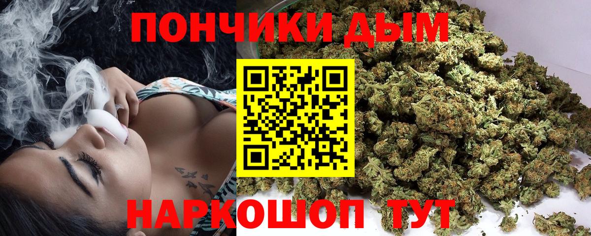 Каннабис планчик Коркино